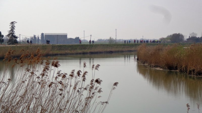 dsc04032.jpg
