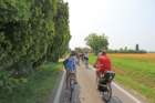 img37_small.jpg