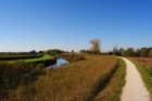 dsc_0318_small.jpg