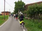 dsc099282_small.jpg