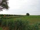 dsc09933_small.jpg