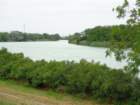 dsc09992_small.jpg