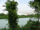 dsc09995_small.jpg