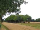 dsc09998_small.jpg
