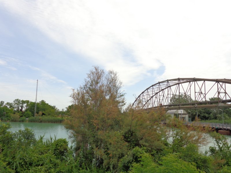 dsc10001.jpg