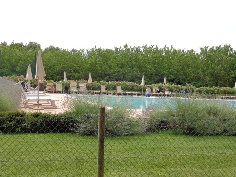 dsc10061.jpg