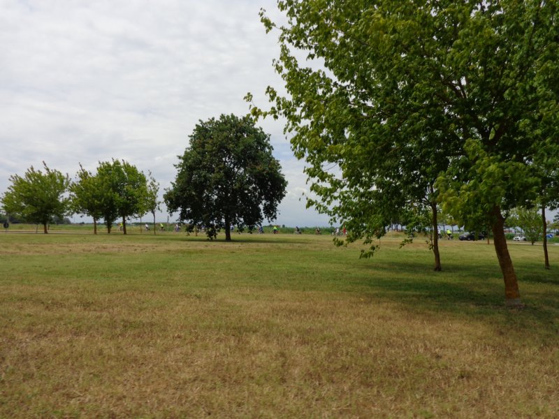 dsc10084.jpg