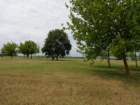 dsc10084_small.jpg