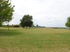 dsc10085_small.jpg