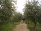 girodelmontello32_small.jpg