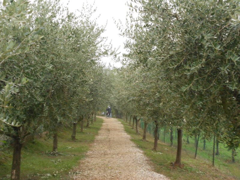 girodelmontello36.jpg