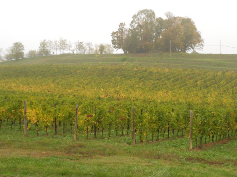 girodelmontello80.jpg