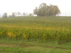 girodelmontello80_small.jpg
