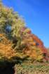dsc03162b_small.jpg
