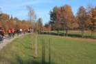 dsc03193a_small.jpg