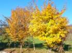 dsc03212_small.jpg