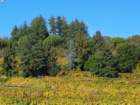 dsc03214_small.jpg