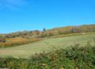 dsc03231_small.jpg