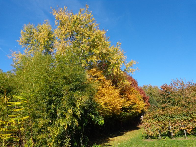dsc03233.jpg