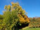 dsc03233_small.jpg