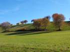 dsc03260_small.jpg