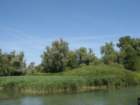 img_0083_small.jpg