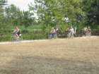 img_0190_small.jpg