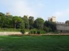 dsc04772_small.jpg