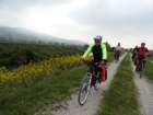 dsc04797_small.jpg