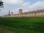 dsc04833_small.jpg