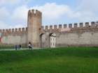 dsc04840_small.jpg