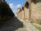 dsc04880_small.jpg