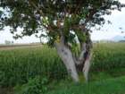 dsc04892_small.jpg