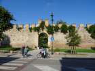 dsc04909_small.jpg
