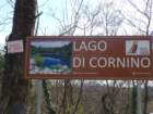 dsc04229_small.jpg