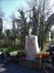 dsc04254_small.jpg