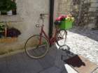 dsc04385_small.jpg