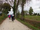 dsc02520_small.jpg