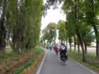 dsc02530_small.jpg