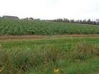 dsc02535_small.jpg