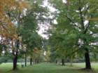 dsc02564_small.jpg