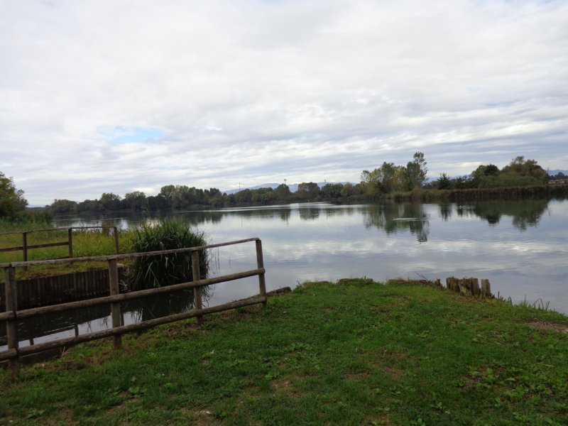 dsc02576.jpg