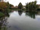 dsc02602_small.jpg