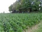 dsc02614_small.jpg