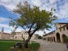 dsc02653_small.jpg