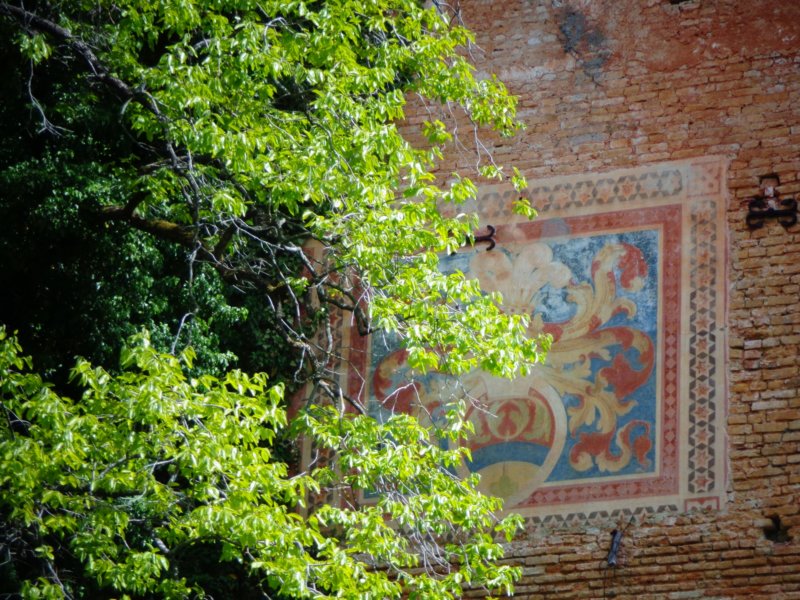 dsc00824a.jpg