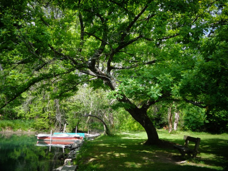 dsc00837.jpg