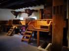 dsc008792_small.jpg