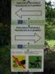 dsc00893_small.jpg