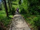 dsc00901_small.jpg